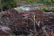 Debris piled up against a wire fence after a flood.